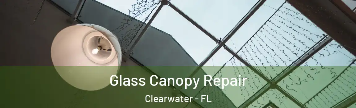  Glass Canopy Repair Clearwater - FL
