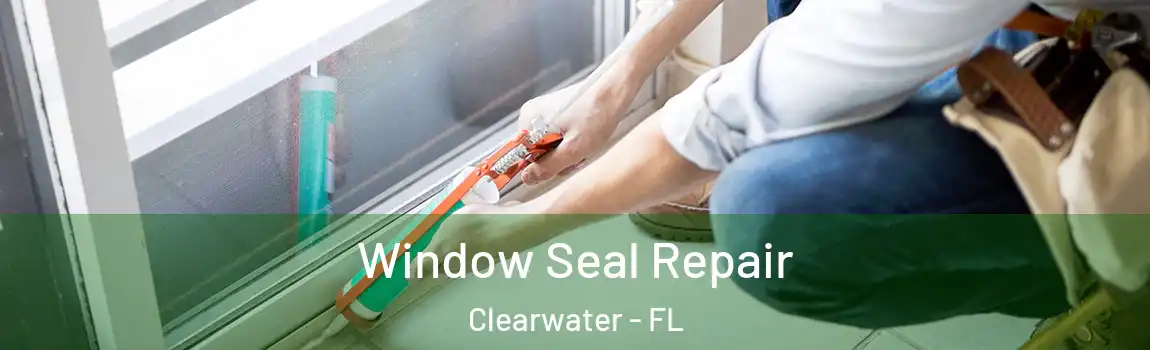  Window Seal Repair Clearwater - FL